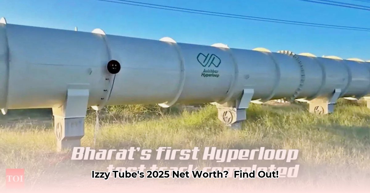 izzy-tube-net-worth